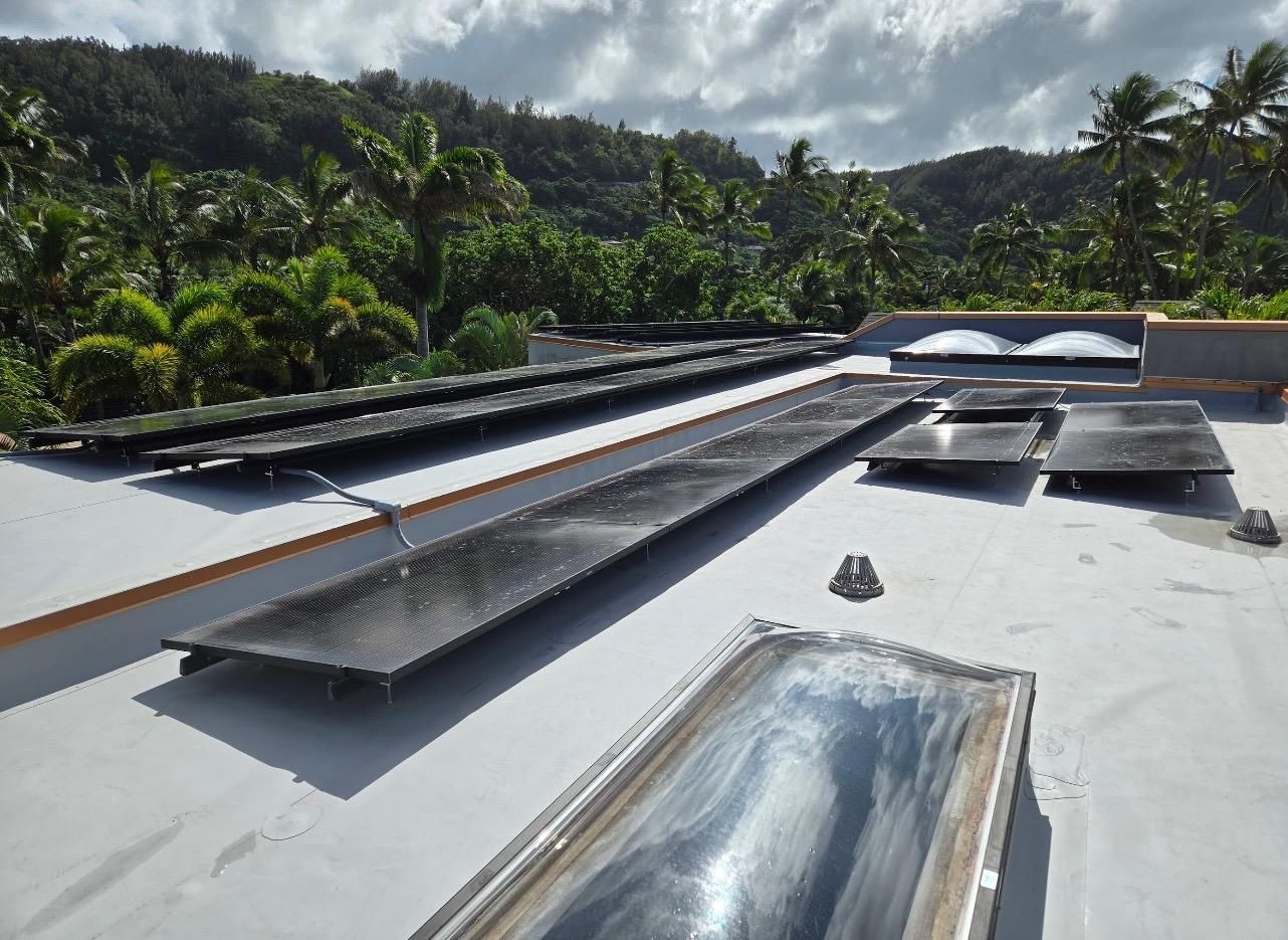 1775604998404011.jpeg 1.jpeg